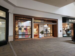 Fossil stonebriar clearance